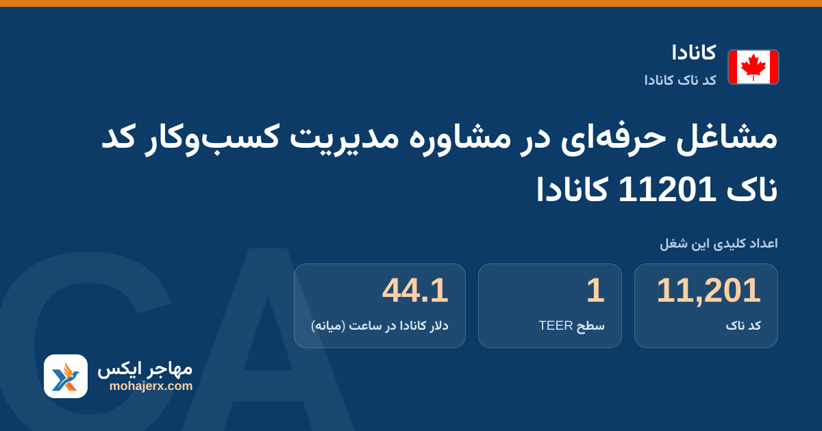 مشاغل حرفه‌ای در مشاوره مدیریت کسب‌وکار کد ناک 11201 کانادا — کد ناک 11201