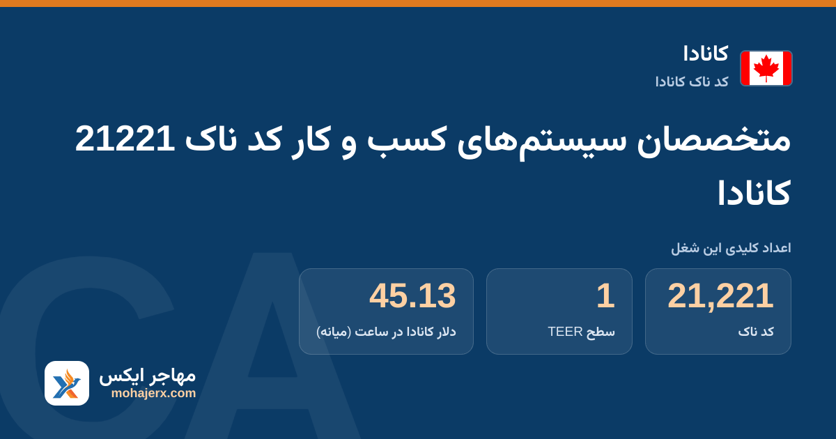 متخصصان سیستم‌های کسب و کار کد ناک 21221 کانادا — کد ناک 21221